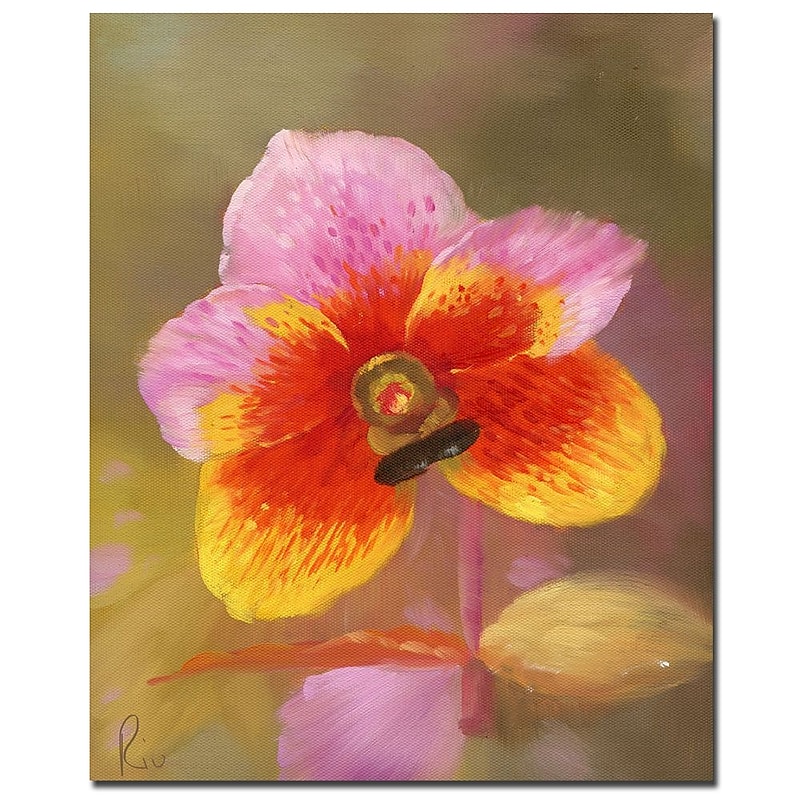 Trademark Fine Art Orange-Pink Orchid' Canvas Art Ready to Hang 35x47 Inches image 1