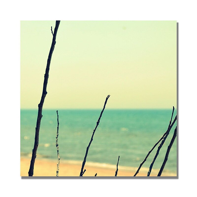 Trademark Fine Art Michelle Calkins 'Branches on the Beach' Canvas Art 24x24 Inches image 1