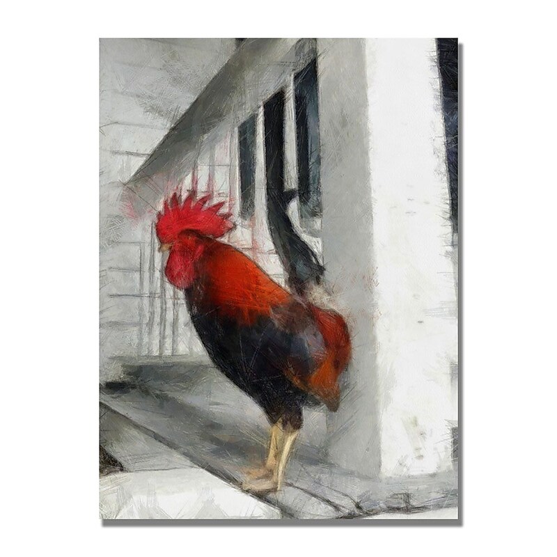 Trademark Fine Art Michelle Calkins 'Key West Rooster' Canvas Art image 1