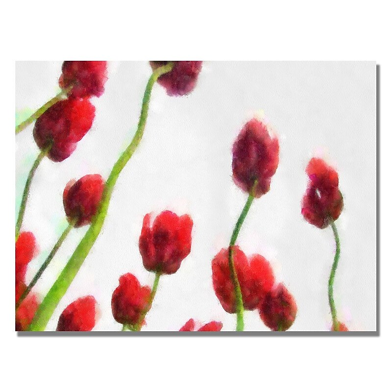 Trademark Fine Art Michelle Calkins 'Red Tulips from Bottom Up IV' Canvas Art image 1
