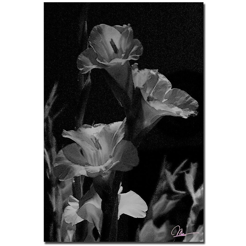 Trademark Fine Art Martha Guerra 'Abstract II' Canvas Art image 1