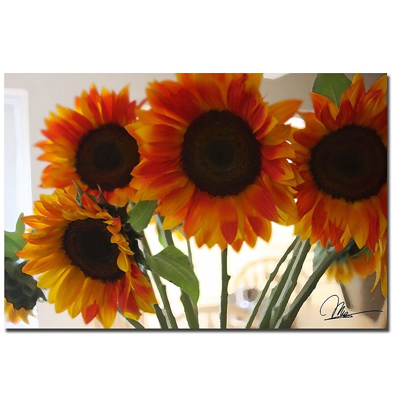 Trademark Fine Art Martha Guerra 'Sunflower IX' Canvas Art image 1