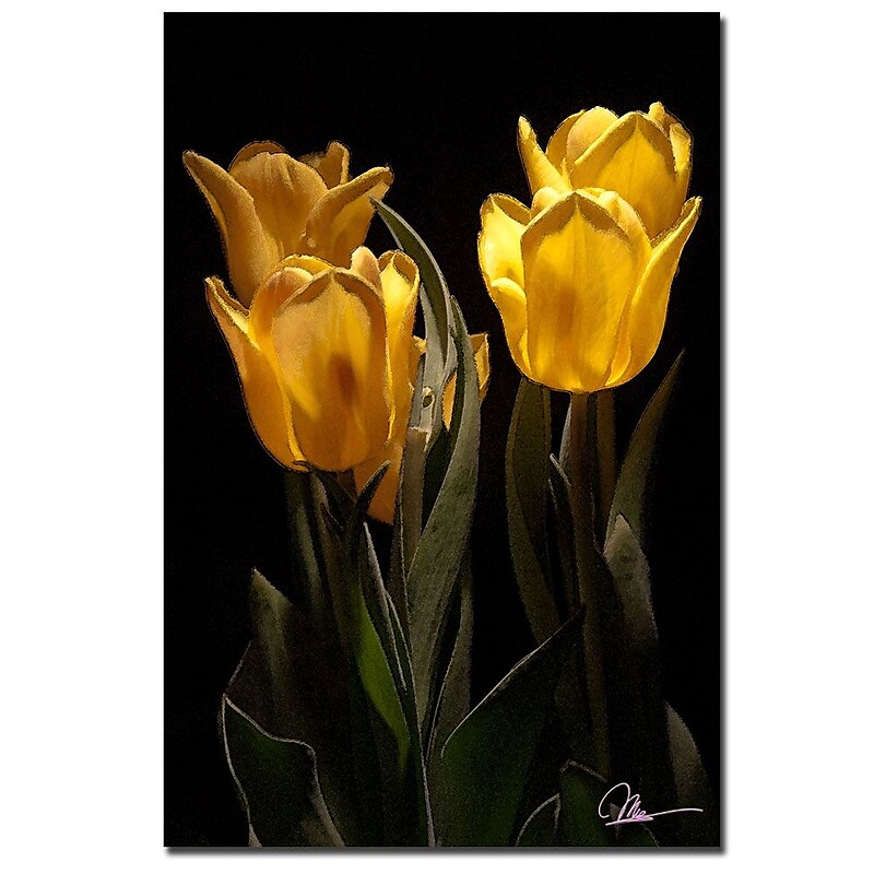 Trademark Fine Art Martha Guerra 'Yellow Blooms III' Canvas Art image 1