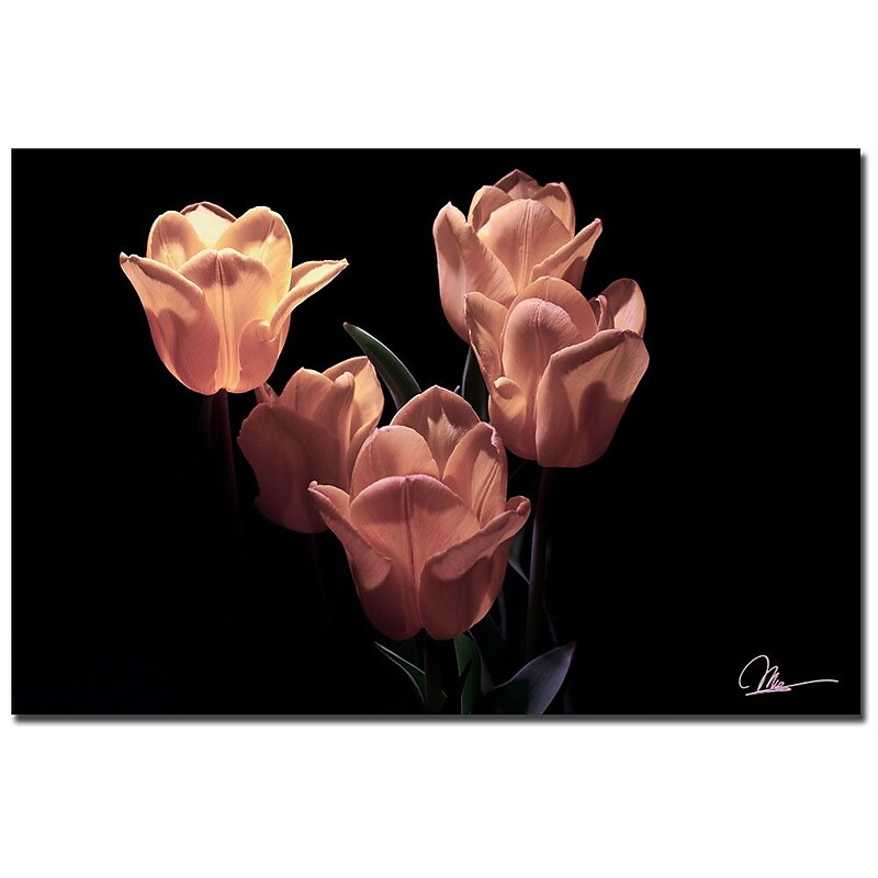 Trademark Fine Art Martha Guerra 'Yellow Blooms V' Canvas Art image 1