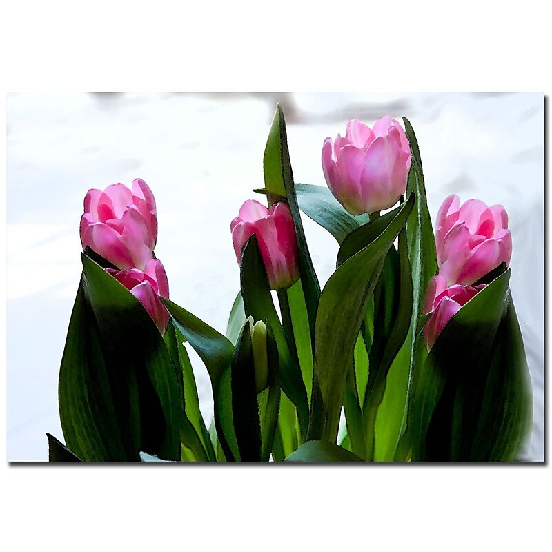 Trademark Fine Art Martha Guerra 'Abstract in Pink and GreenI' Canvas Art image 1