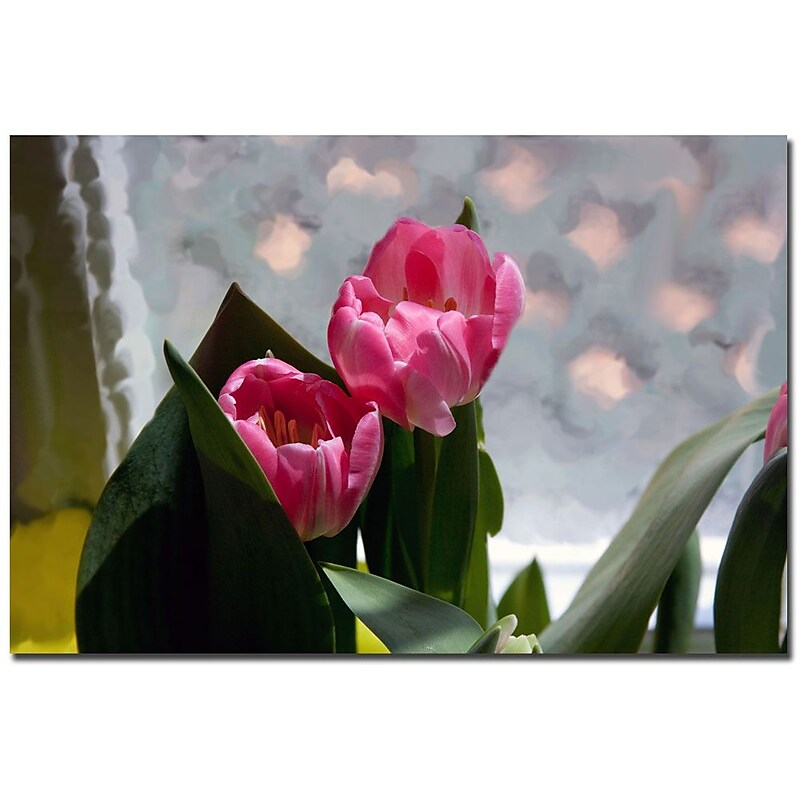Trademark Fine Art Martha Guerra 'Violets' Canvas Art image 1