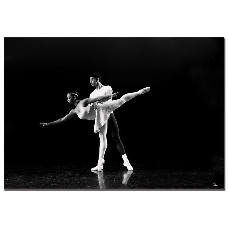 Trademark Fine Art Martha Guerra 'Airborne II' Canvas Art image 1