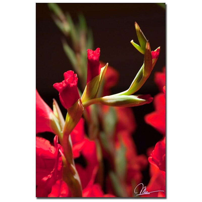 Trademark Fine Art Martha Guerra 'Reflection Abstract' Canvas Art image 1