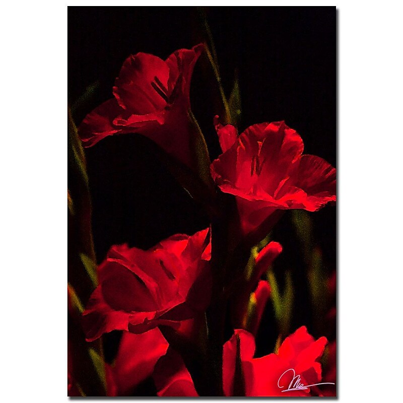 Trademark Fine Art Martha Guerra 'Gladiolus V' Canvas Art image 1