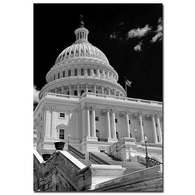 Trademark Fine Art CATeyes 'Make Good Use of It' Canvas Art 30x47 Inches image 1