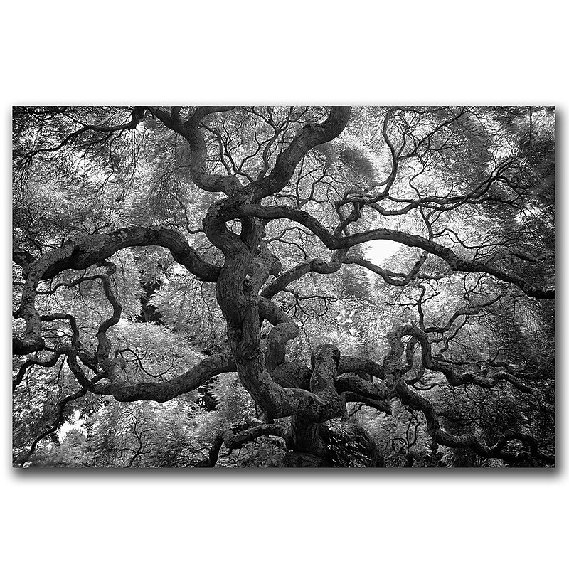 Trademark Fine Art Motivations by CATeyes-Canvas Ready to Hang 16x24 Inches (MZ010-C1624GG) image 1