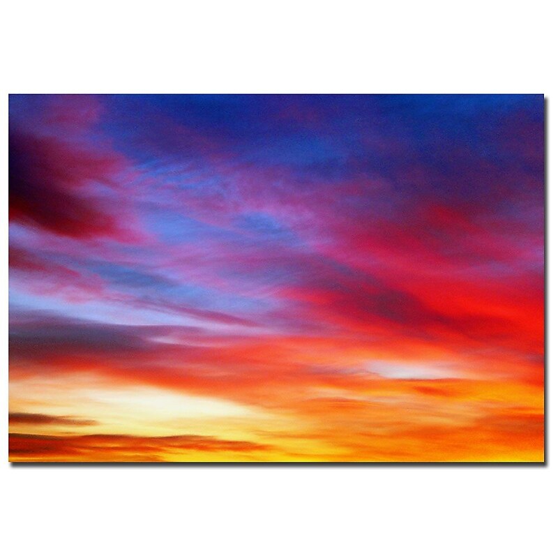 Trademark Fine Art CATeyes 'Veils' Canvas Art (MZ0112-C2232GG) image 1