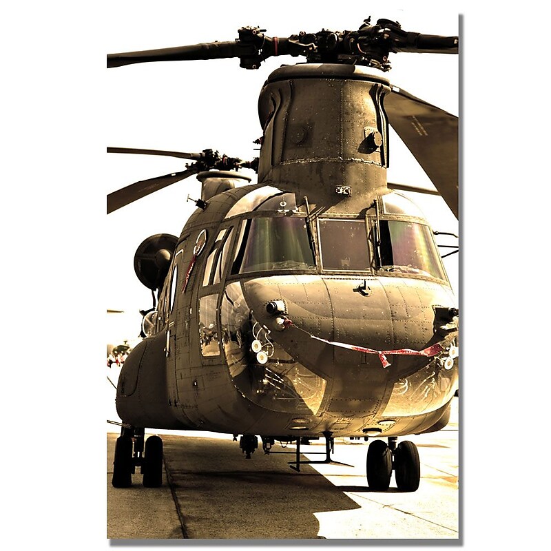 Trademark Fine Art MCat 'Chinook' Canvas Art image 1