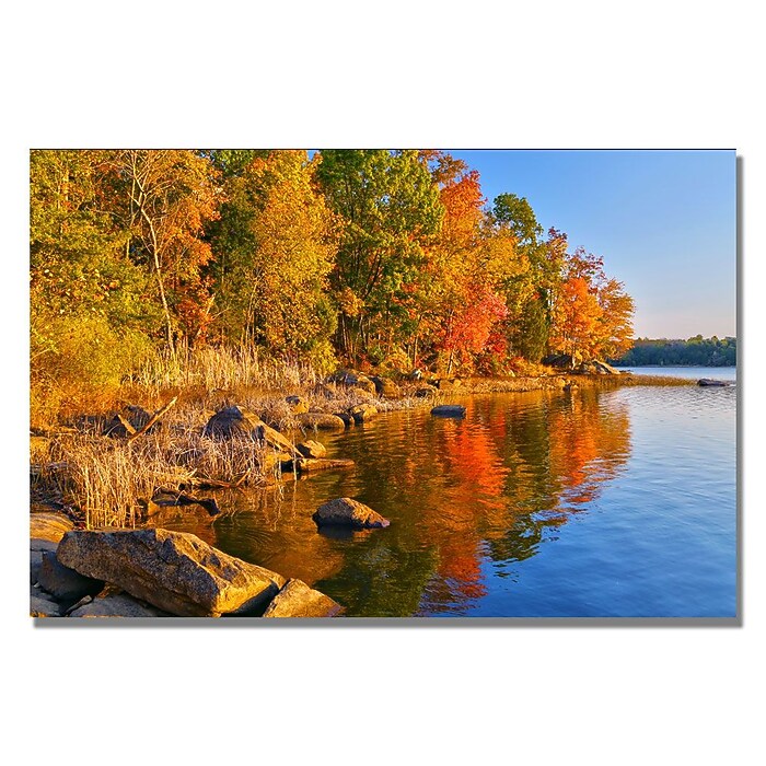 Trademark Fine Art CATeyes 'Early Morning' Canvas Art 16x24 Inches