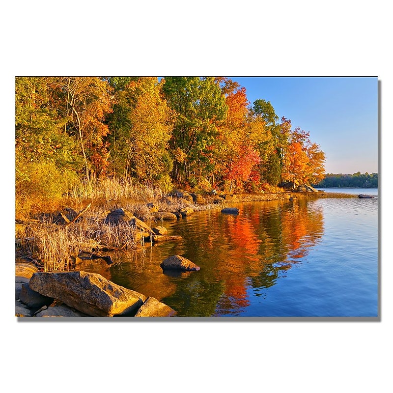 Trademark Fine Art CATeyes 'Early Morning' Canvas Art 22x32 Inches (MZ0200-C2232GG) image 1