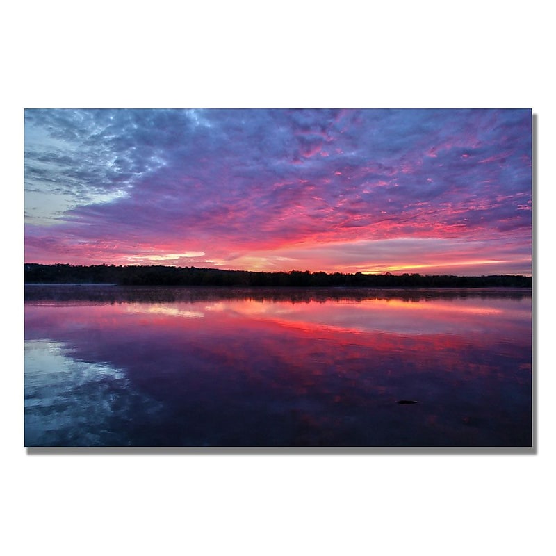 Trademark Fine Art CATeyes 'The Mystery' Canvas Art 22x32 Inches image 1