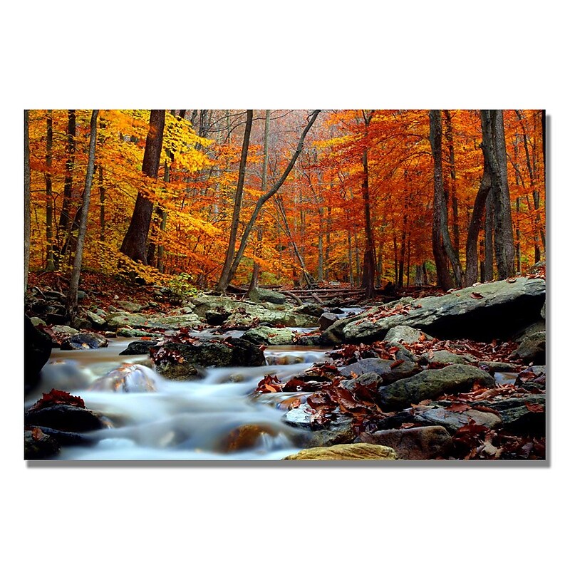 Trademark Fine Art CATeyes 'Ultimate Truth' Canvas Art 30x47 Inches (MZ0211-C3047GG) image 1