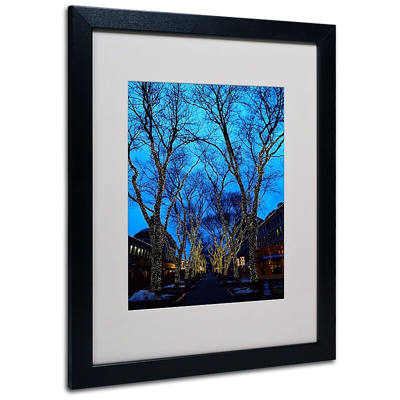 Trademark Fine Art CATeyes 'Boston 2' Matted Art Black Frame 16x20 Inches image 1