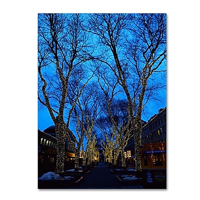 Trademark Fine Art CATeyes 'Boston 2' Canvas Art 14x19 Inches
