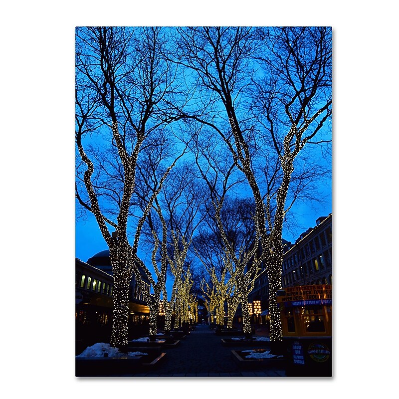 Trademark Fine Art CATeyes 'Boston 2' Canvas Art 14x19 Inches image 1