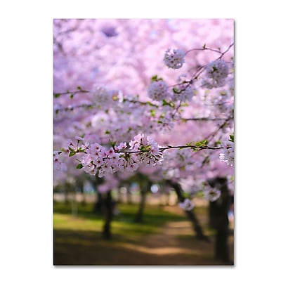 Trademark Fine Art CATeyes 'DC 2' Canvas Art 14x19 Inches