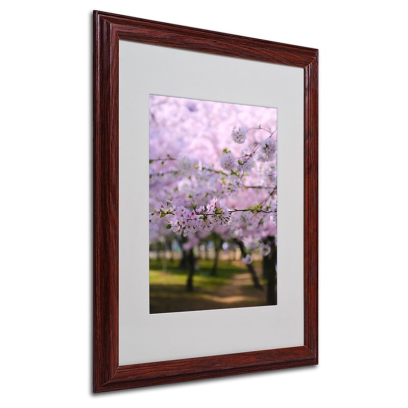 CATeyes 'DC 2' Matted Framed Art - 16x20 Inches - Wood Frame image 1