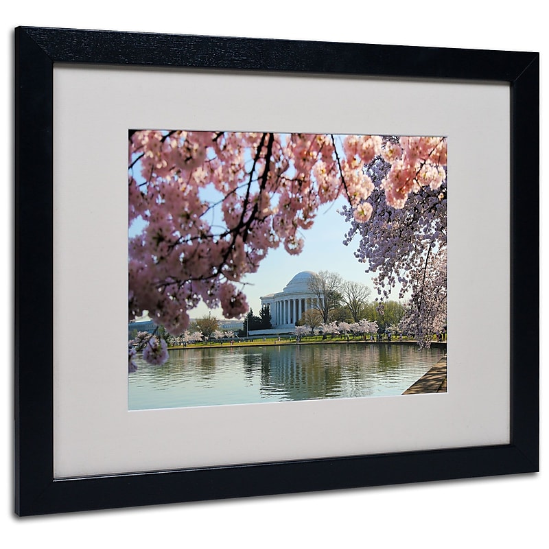 Trademark Fine Art CATeyes 'DC 3' Matted Art Black Frame 16x20 Inches image 1