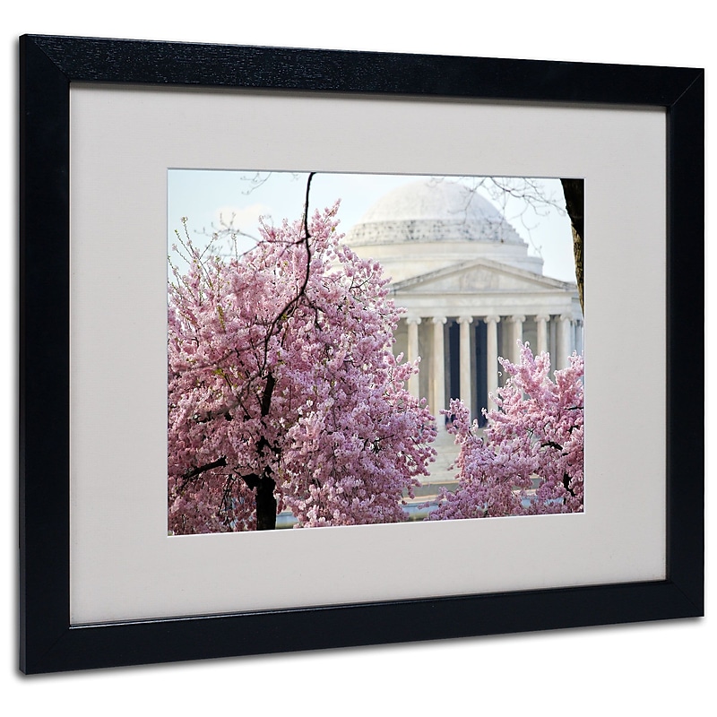 Trademark Fine Art CATeyes 'DC 4' Matted Art Black Frame 16x20 Inches (MZ0228-B1620MF) image 1