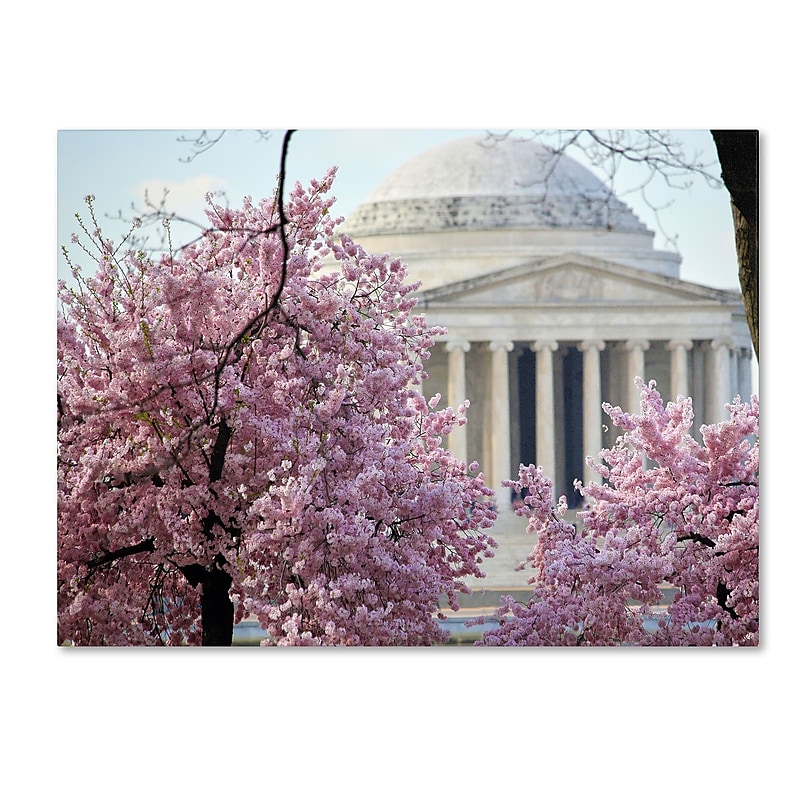 Trademark Fine Art CATeyes 'DC 4' Canvas Art 22x32 Inches image 1