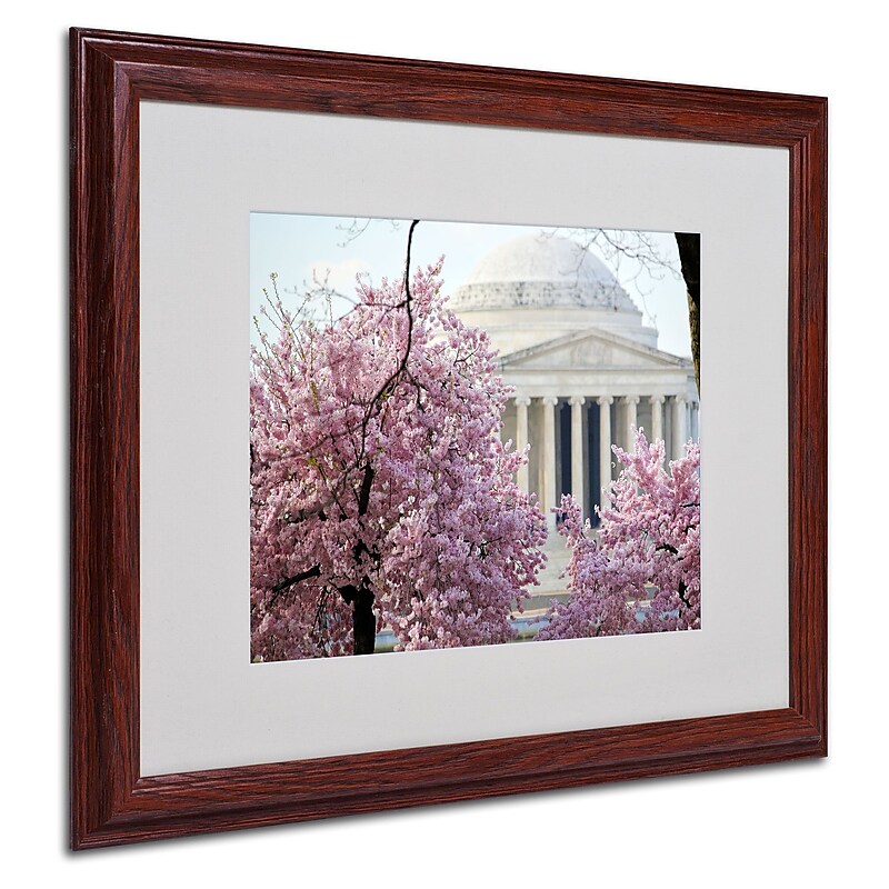 CATeyes 'DC 4' Matted Framed Art - 16x20 Inches - Wood Frame (MZ0228-W1620MF) image 1