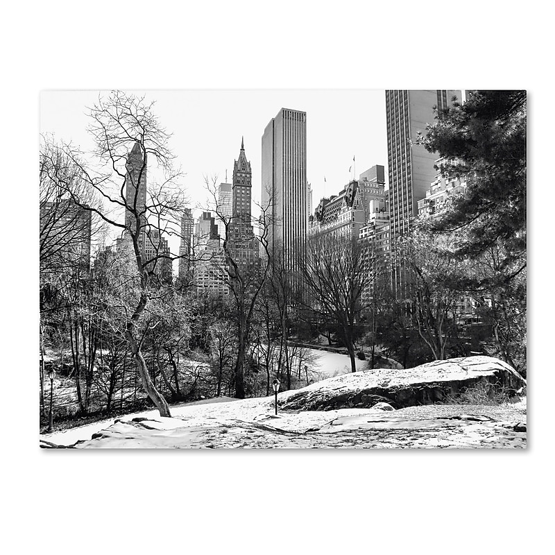 Trademark Fine Art CATeyes 'Central Park' Canvas Art 22x32 Inches image 1