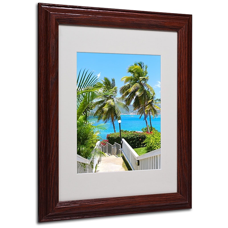 CATeyes 'Virgin Islands 3' Matted Framed Art - 11x14 Inches - Wood Frame image 1