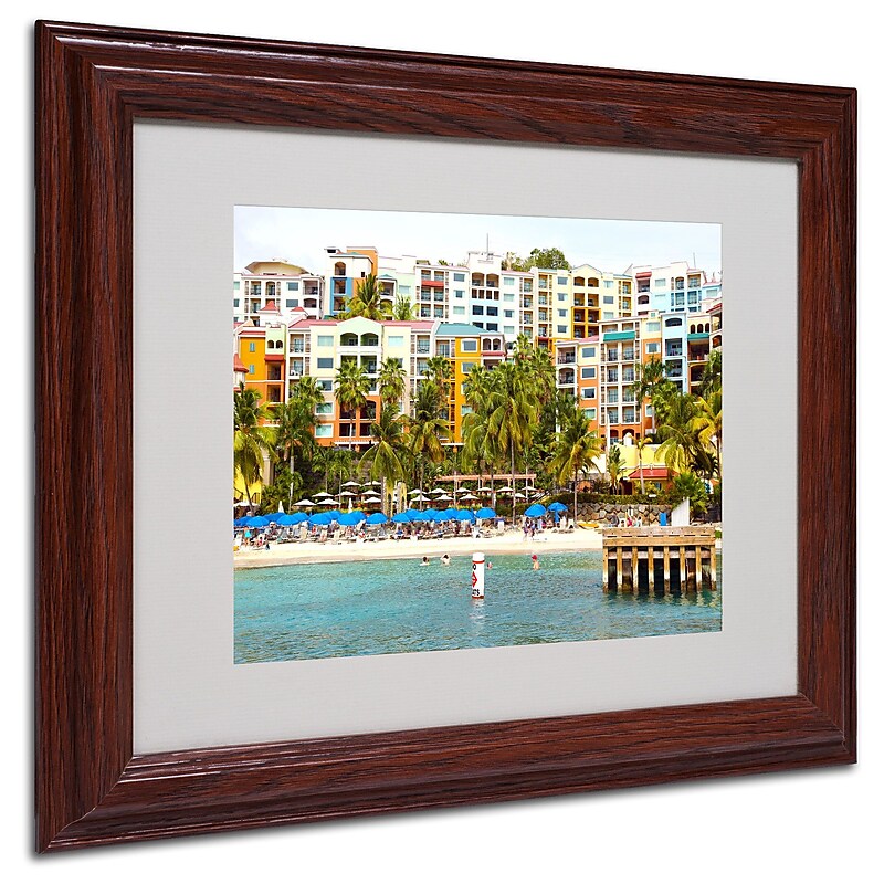 CATeyes 'Virgin Islands 8' Matted Framed Art - 11x14 Inches - Wood Frame image 1