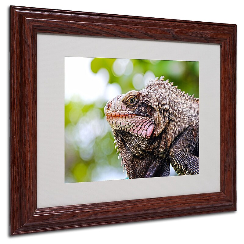 CATeyes 'Virgin Islands 9' Matted Framed Art - 11x14 Inches - Wood Frame image 1