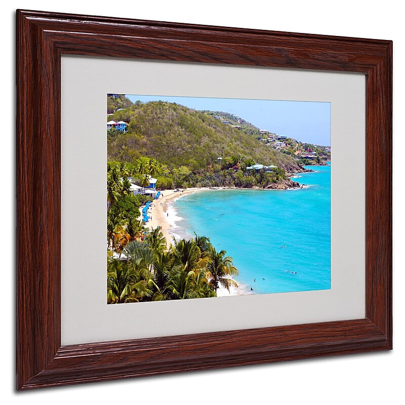 CATeyes 'Virgin Islands 10' Matted Framed Art - 11x14 Inches - Wood Frame image 1