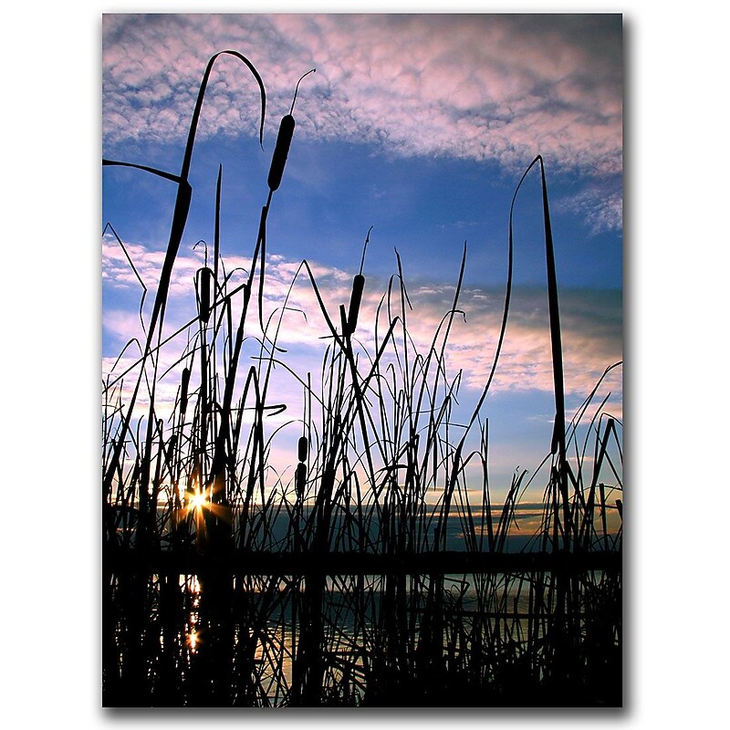 Trademark Fine Art The Secret by CATeyes Canvas Art Ready to Hang 26x32 Inches image 1