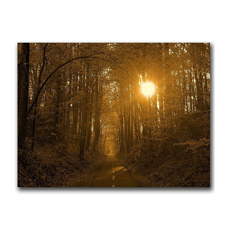 Trademark Fine Art Morning Awaits II by CATeyes  Canvas Ready to Hang 18x24 Inches image 1