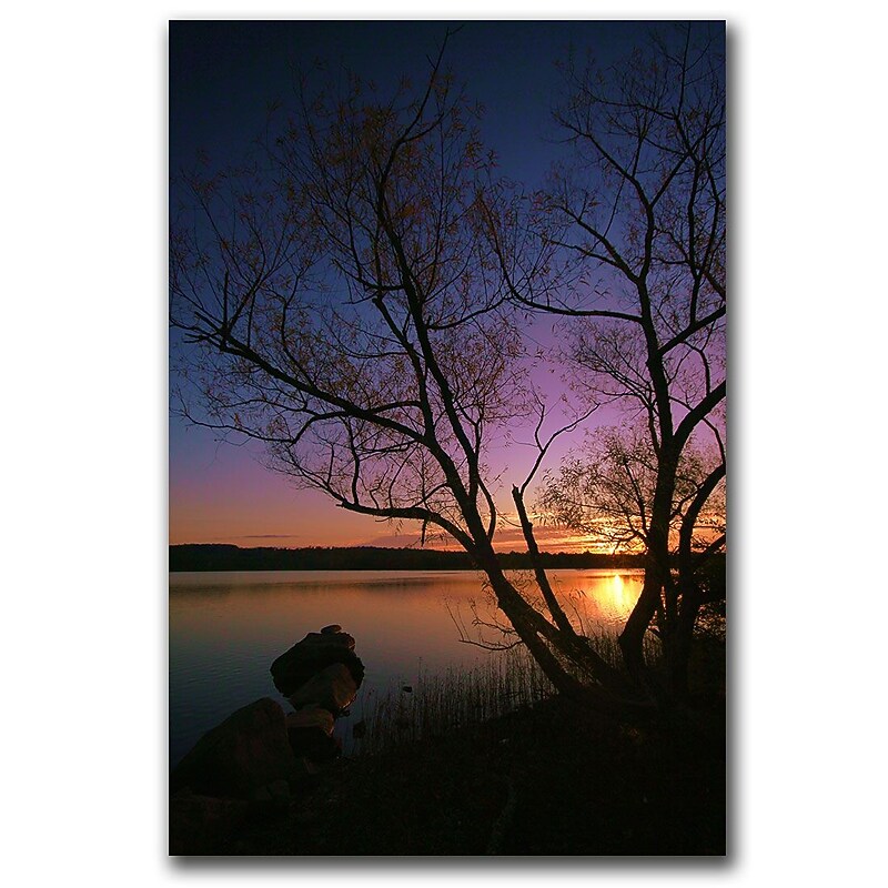 Trademark Fine Art Nothing Gold Can Stay by CATeyes Canvas Art 16x24 Inches image 1