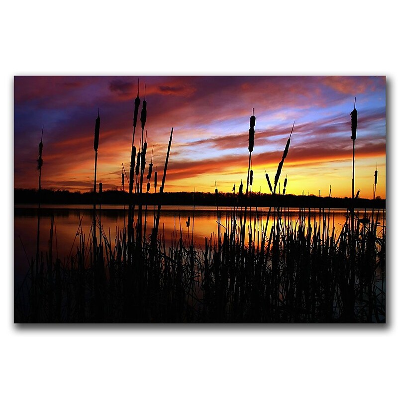 Trademark Fine Art Principles by CATeyes  Canvas Art Ready to Hang 22x32 Inches image 1