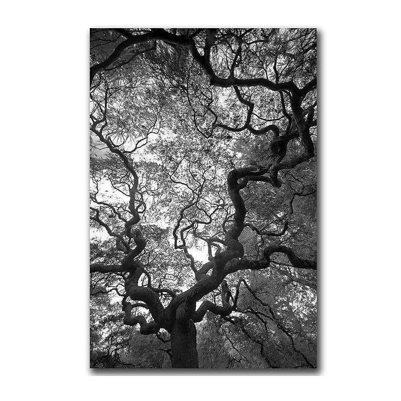 Trademark Fine Art Speaking by CATeyes  Canvas Art Ready to Hang 22x32 Inches image 1