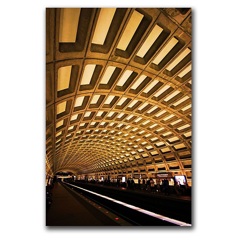 Trademark Fine Art Understated Democracy by CATeyes  Canvas Ready to Hang 22x32 Inches image 1