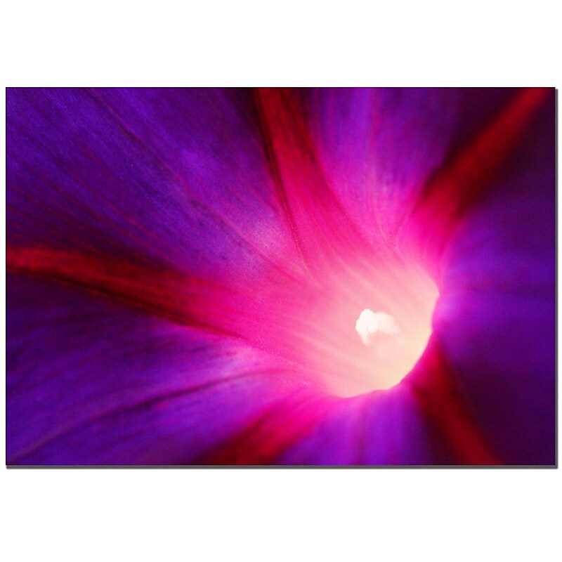 Trademark Fine Art CATeyes 'Love Beauty' Canvas Art image 1