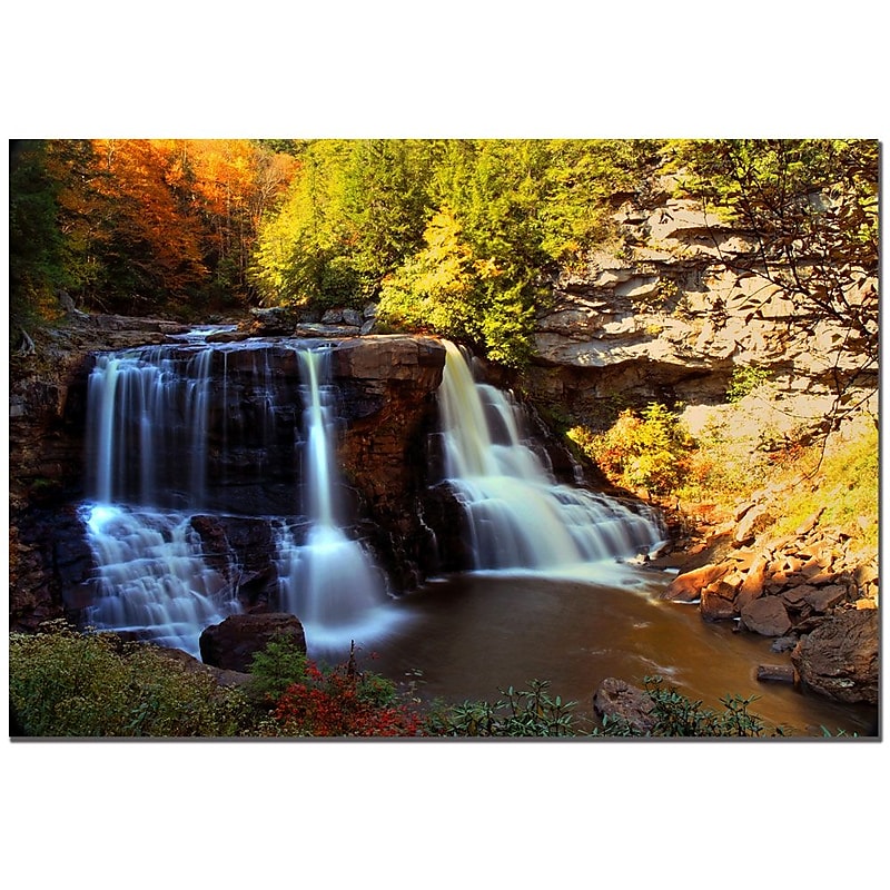 Trademark Fine Art CATeyes 'Motion' Canvas Art 22x32 Inches image 1
