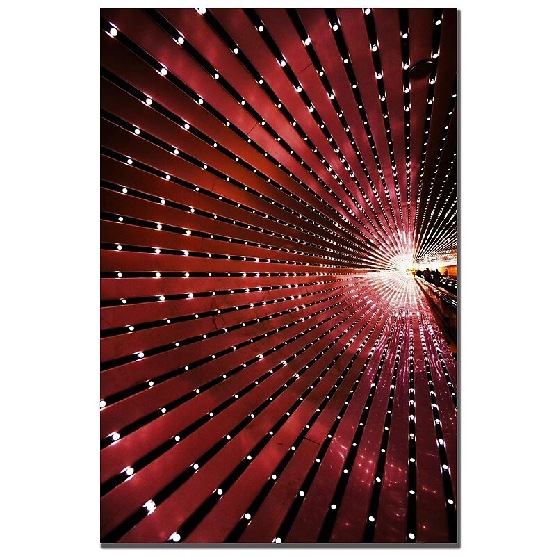 Trademark Fine Art CATeyes 'Into the Light' Canvas Art 16x24 Inches image 1