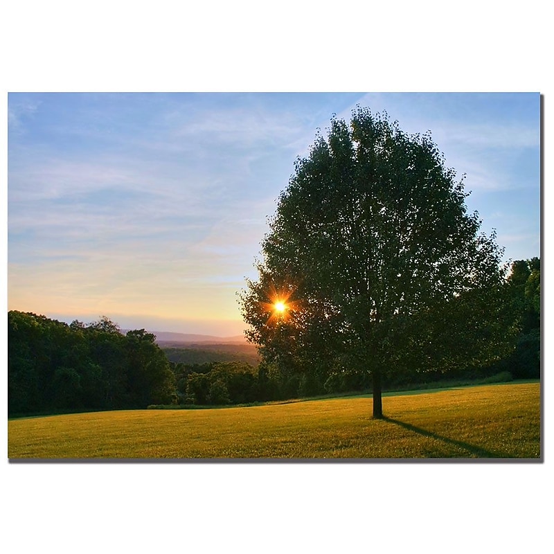 Trademark Fine Art CATeyes 'Poetry of Nature' Canvas Art 16x24 Inches image 1