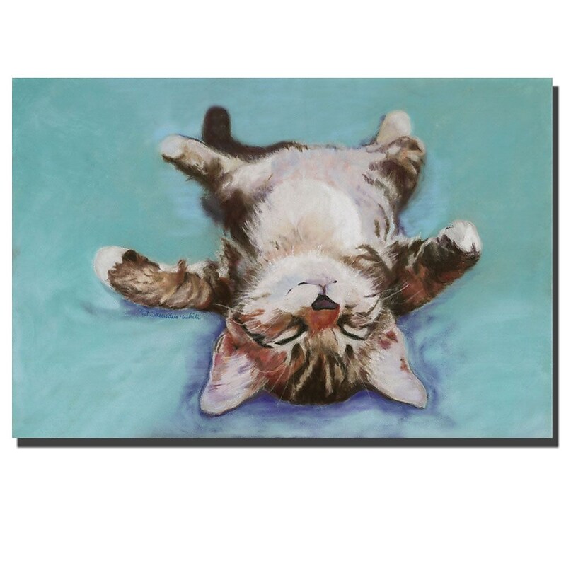 Trademark Fine Art Pat Saunders-White, 'Little Napper' Canvas Art 24x36 Inches image 1