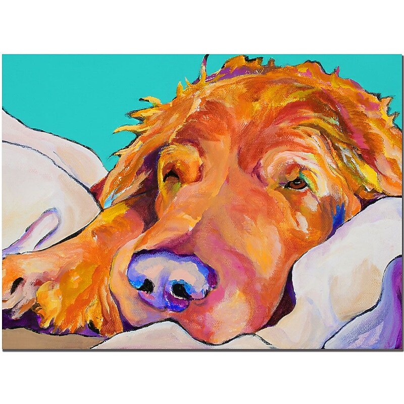 Trademark Fine Art Snoozer King by Pat Saunders-White-Ready to Hang Art 14x19 Inches image 1