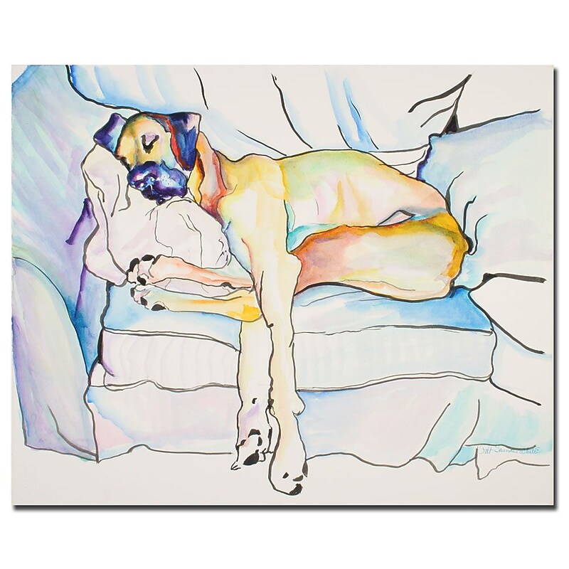Trademark Fine Art Pat Saunders-White 'Sleeping Beauty' Canvas Art 35x47 Inches image 1