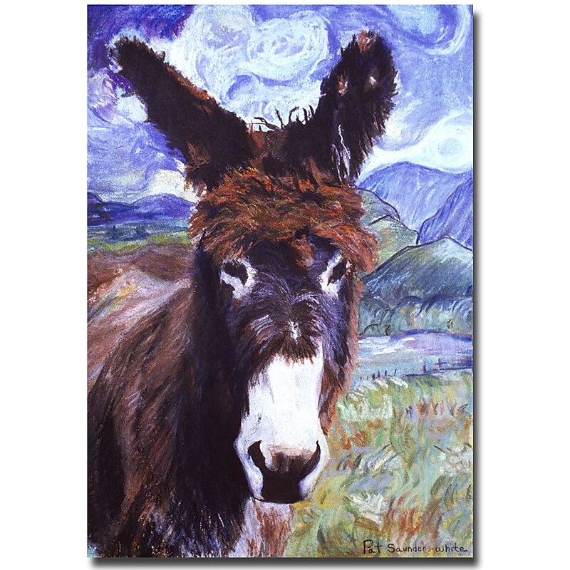 Trademark Fine Art Pat Saunders-Whtie 'Carrot Top' Canvas Art image 1