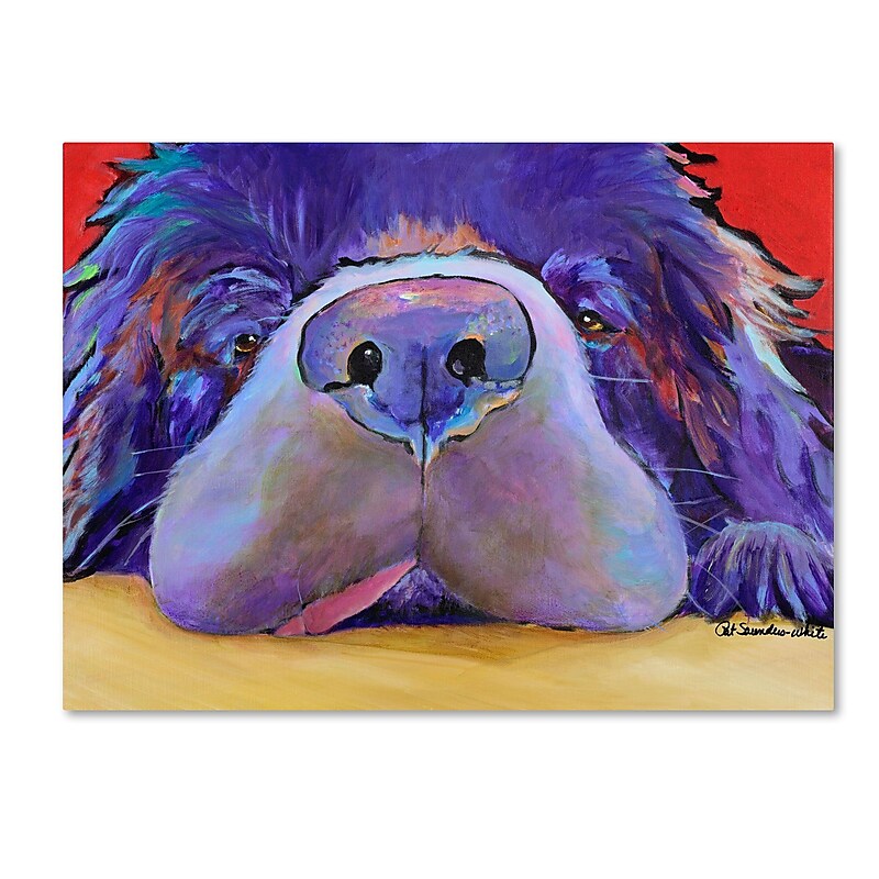 Trademark Fine Art Pat Saunders 'Graysea' Canvas Art 14x19 Inches image 1
